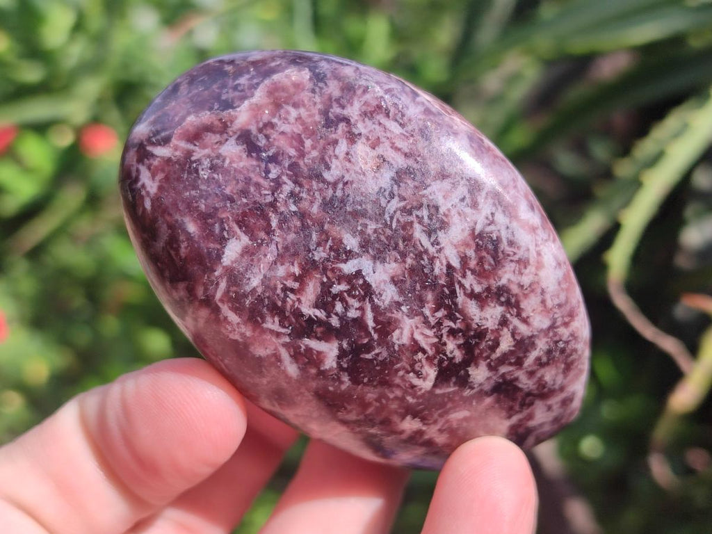 Polished Lepidolite Free Forms x 24 From Zimbabwe