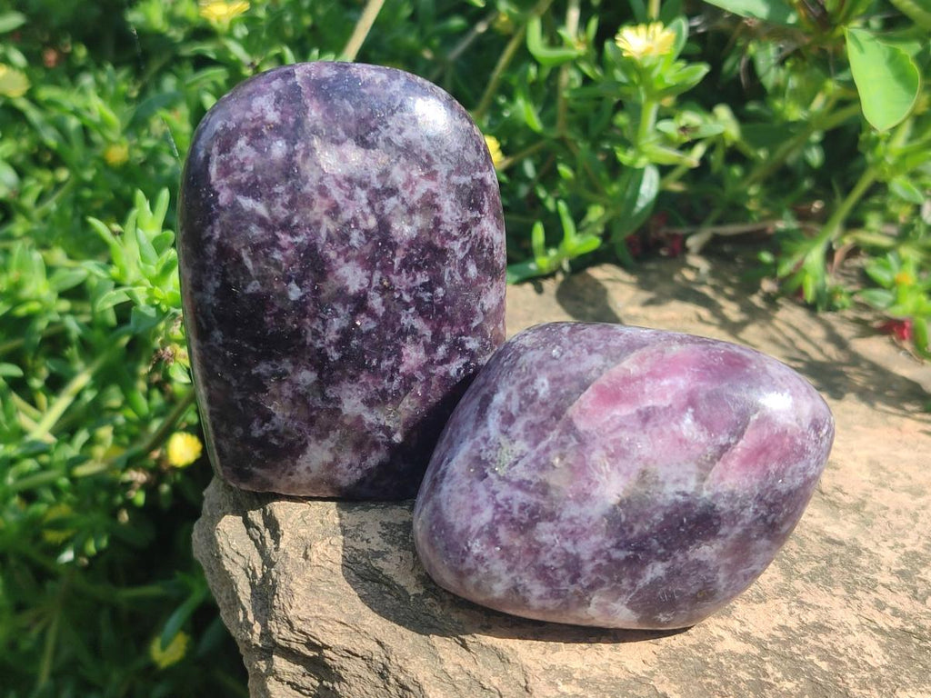 Polished Lepidolite Free Forms x 24 From Zimbabwe