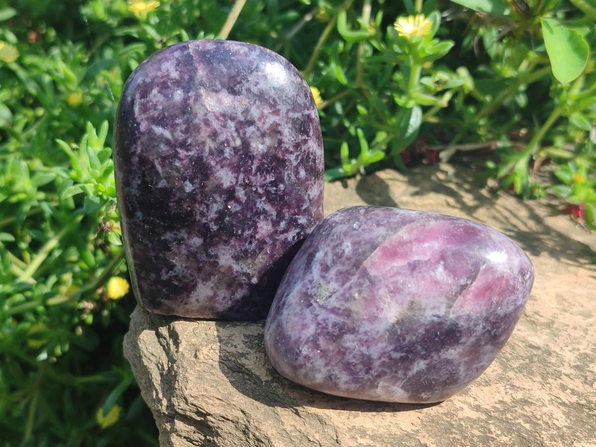 Polished Lepidolite Free Forms x 24 From Zimbabwe