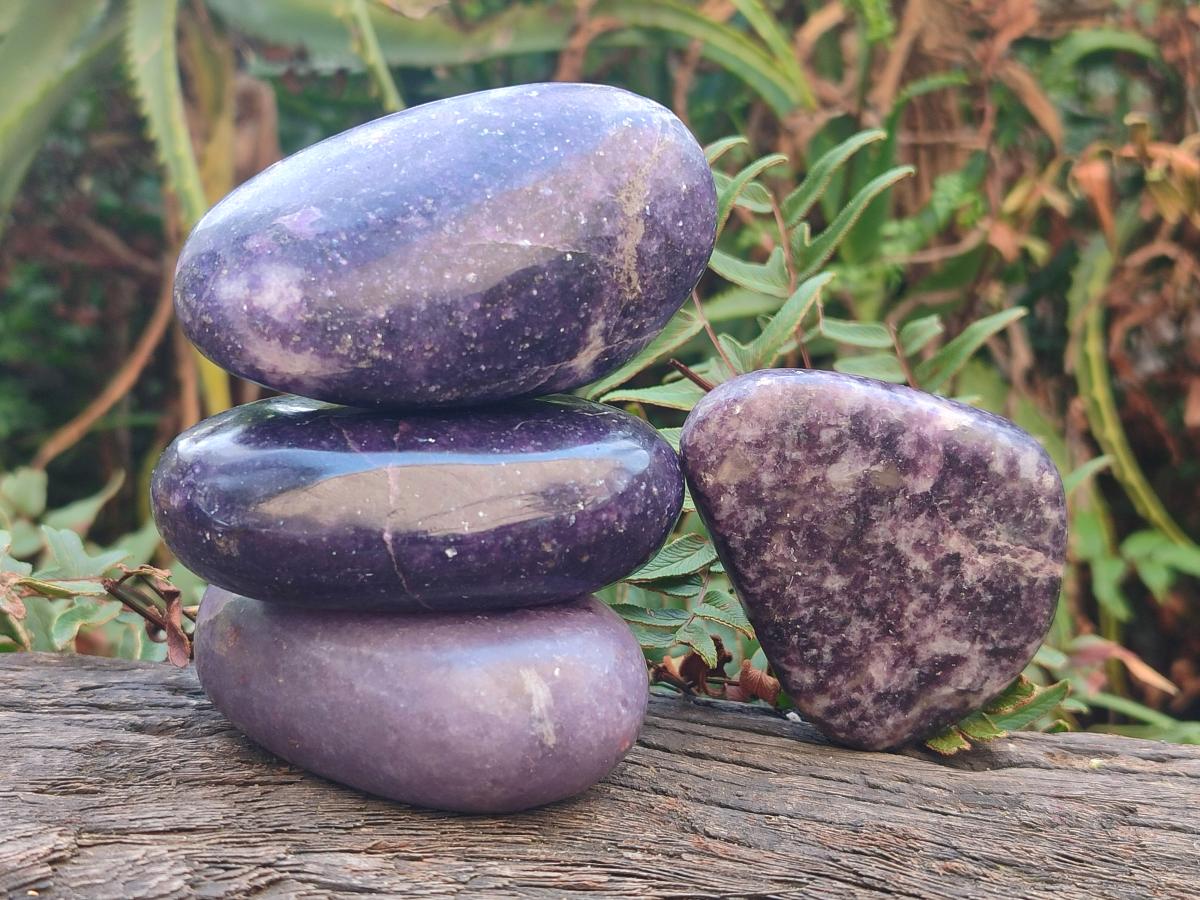 Polished Lepidolite Free Forms x 24 From Zimbabwe