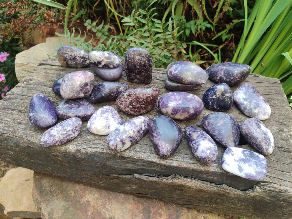 Polished Lepidolite Free Forms x 24 From Zimbabwe