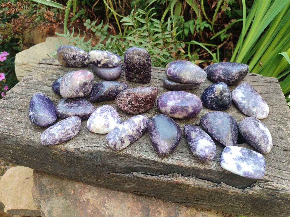 Polished Lepidolite Free Forms x 24 From Zimbabwe