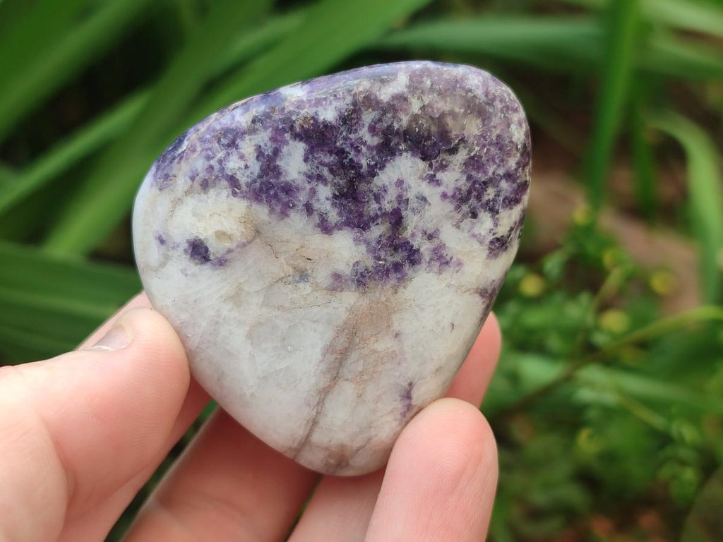 Polished Lepidolite Free Forms x 24 From Zimbabwe