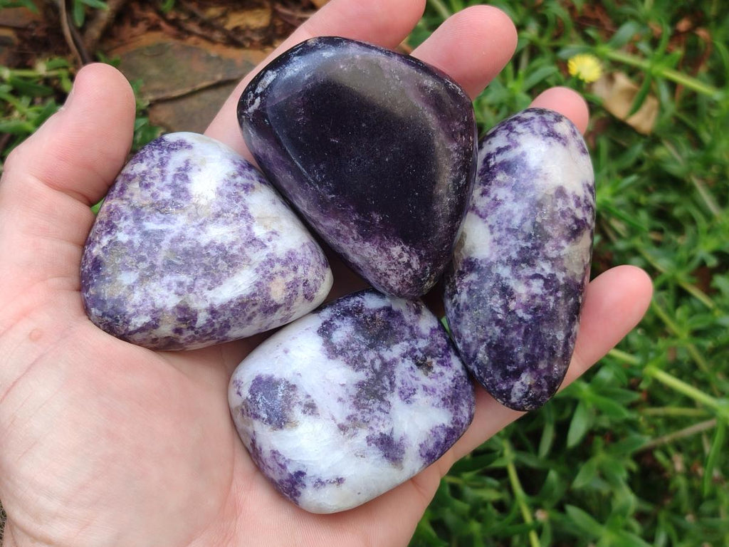 Polished Lepidolite Free Forms x 24 From Zimbabwe