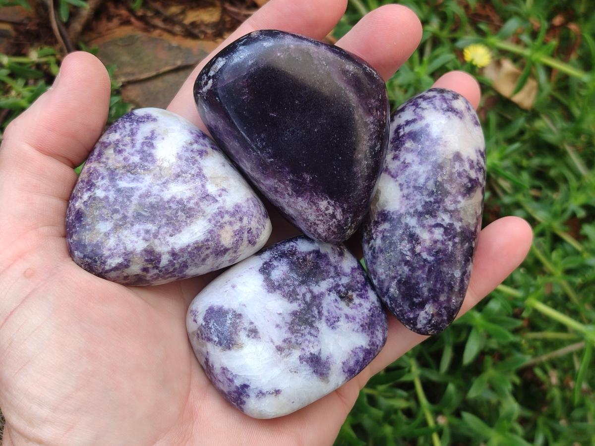 Polished Lepidolite Free Forms x 24 From Zimbabwe