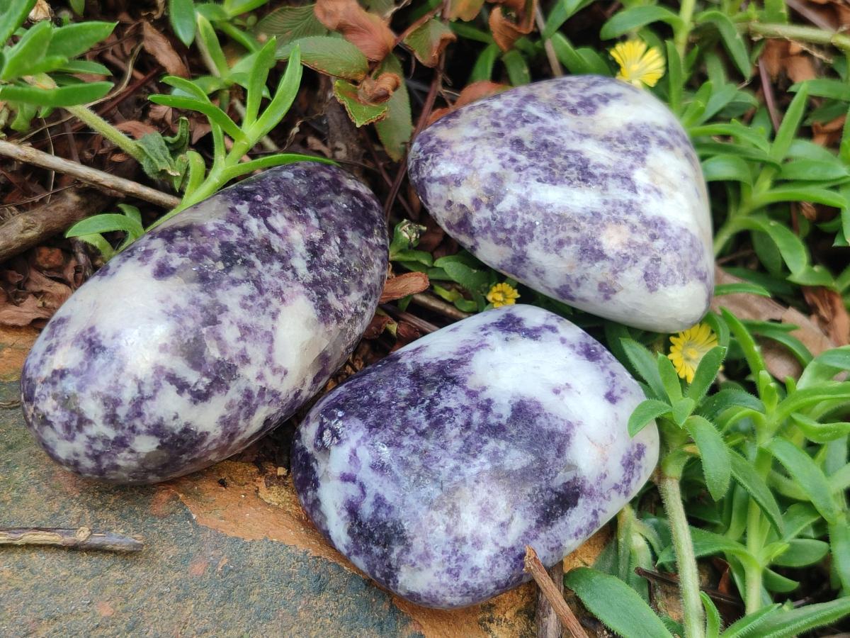 Polished Lepidolite Free Forms x 24 From Zimbabwe