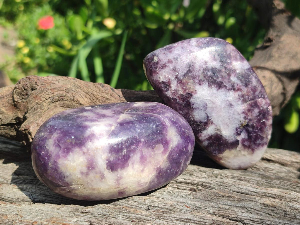 Polished Lepidolite Free Forms x 24 From Zimbabwe