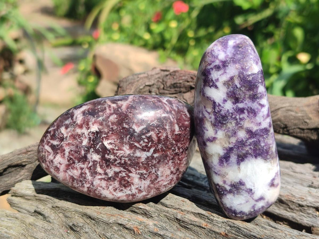 Polished Lepidolite Free Forms x 24 From Zimbabwe