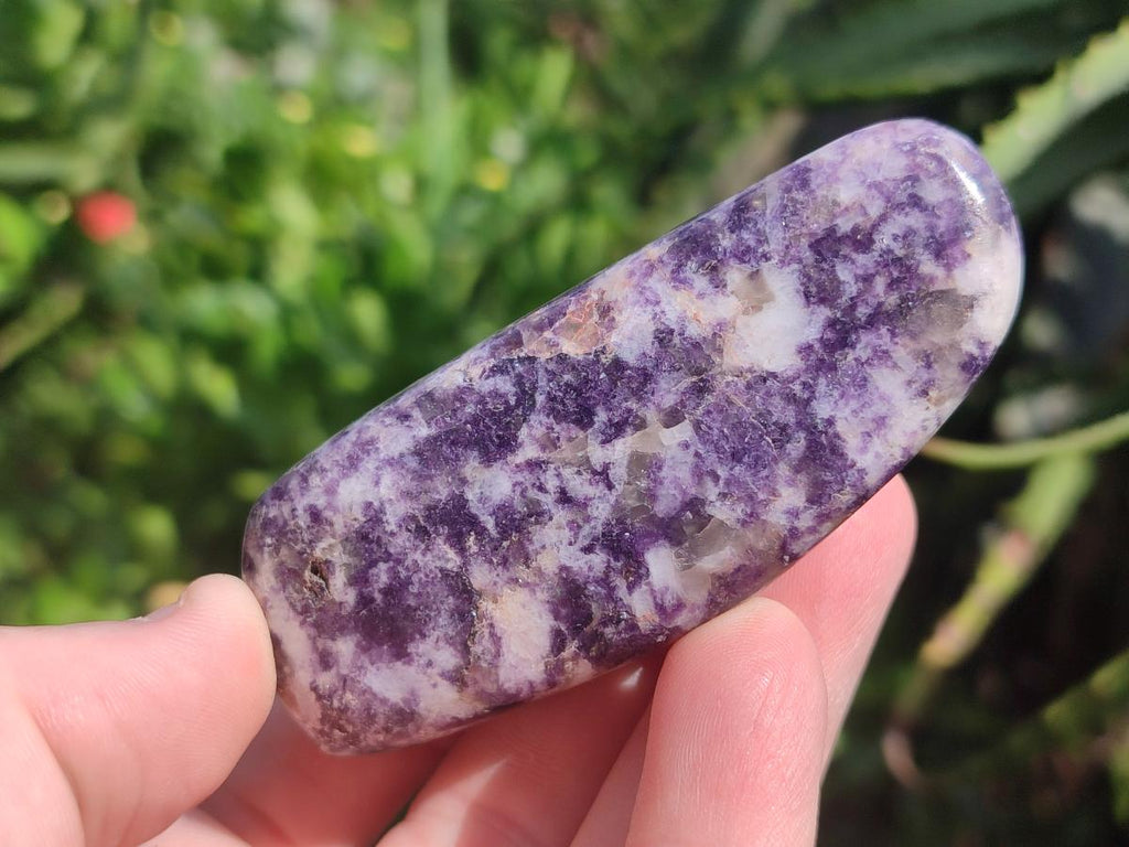 Polished Lepidolite Free Forms x 24 From Zimbabwe