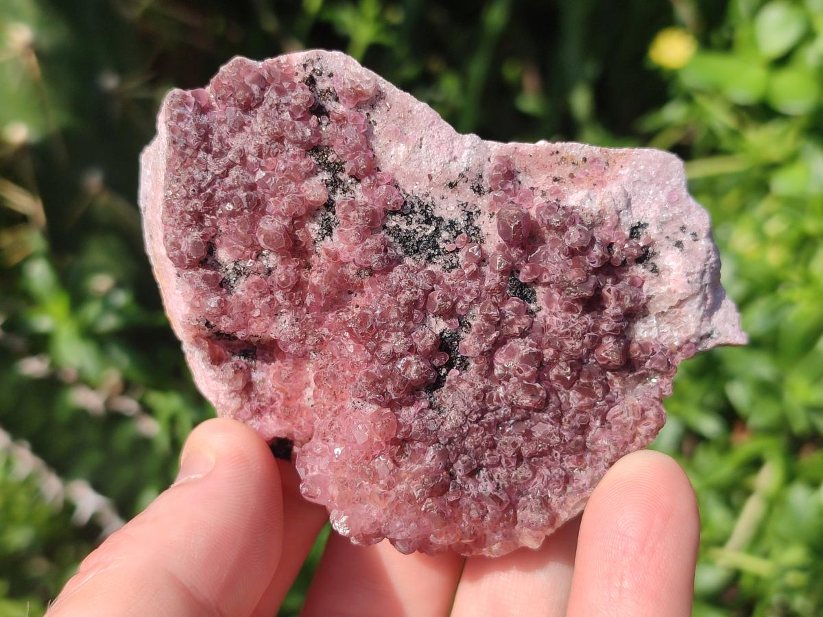 Natural Spherocobaltite Specimens x 25 From Mashamba West Mine, Congo