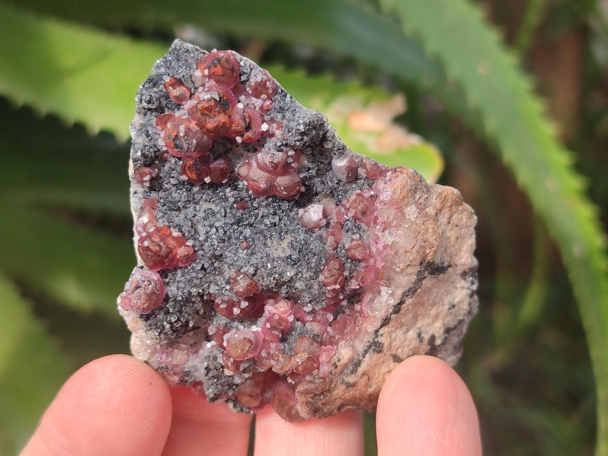 Natural Spherocobaltite Specimens x 25 From Mashamba West Mine, Congo