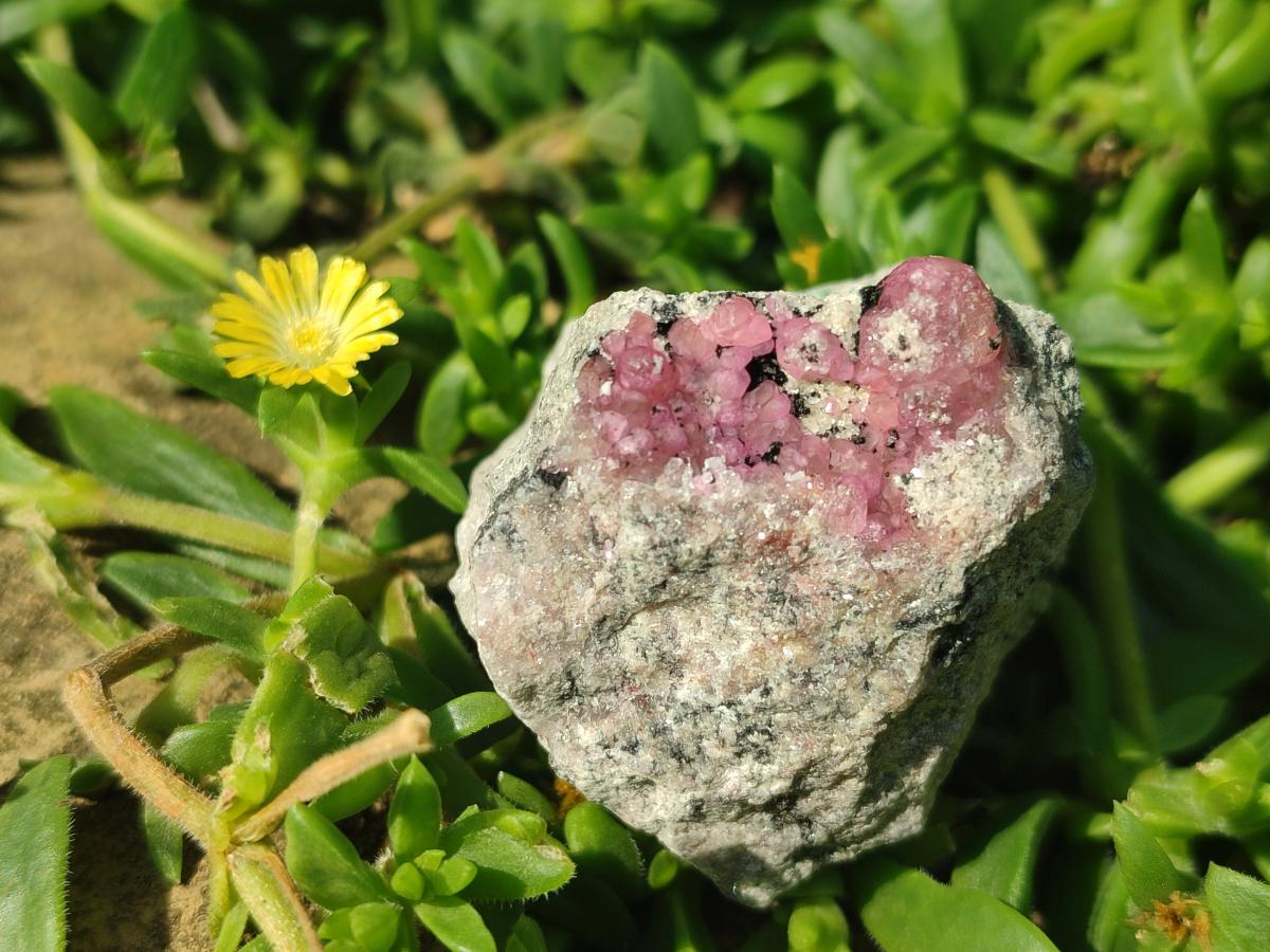 Natural Spherocobaltite Specimens x 25 From Mashamba West Mine, Congo