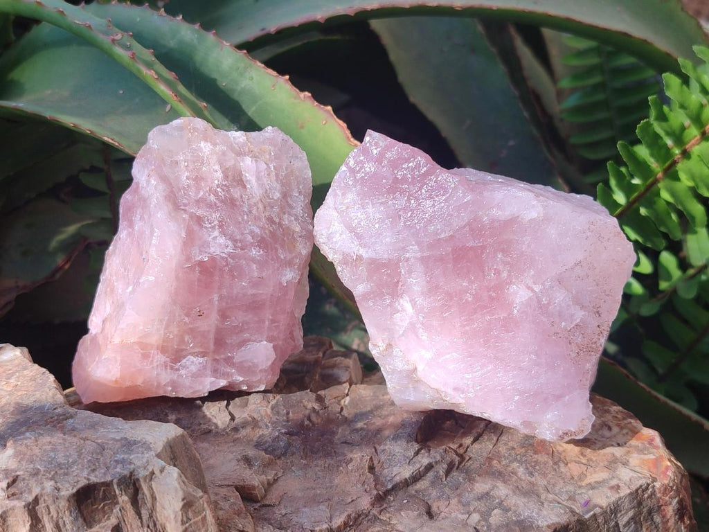 Natural Cobbed Rose Quartz Specimens x 6,34 Kg Lot From Northern Cape, South Africa