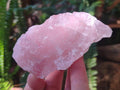 Natural Cobbed Rose Quartz Specimens x 6,34 Kg Lot From Northern Cape, South Africa