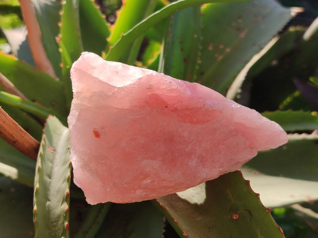 Natural Cobbed Rose Quartz Specimens x 6,34 Kg Lot From Northern Cape, South Africa