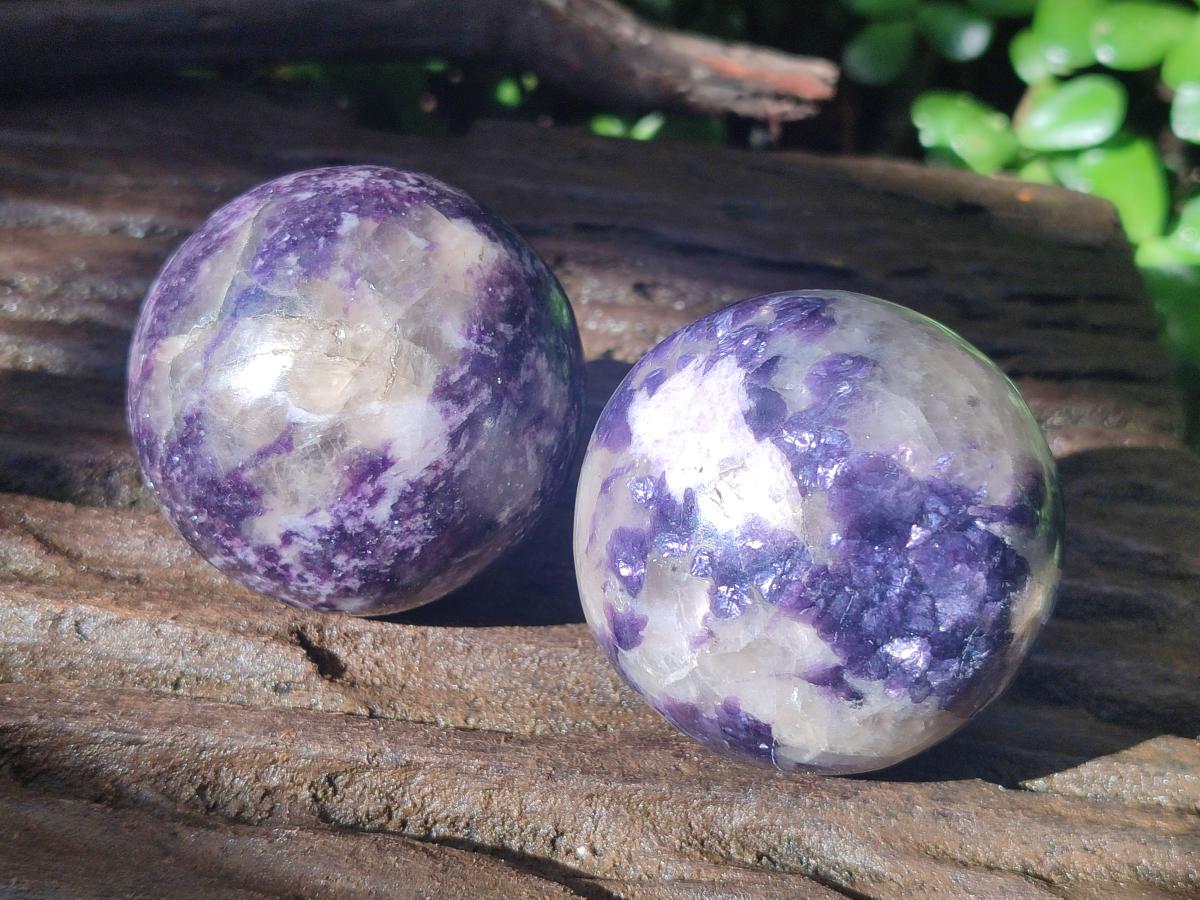 Polished Large Silver Leaf Lepidolite Spheres x 6 From Zimbabwe