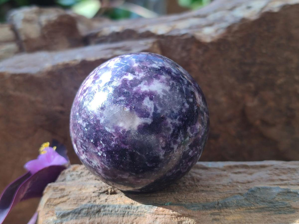 Polished Large Silver Leaf Lepidolite Spheres x 6 From Zimbabwe