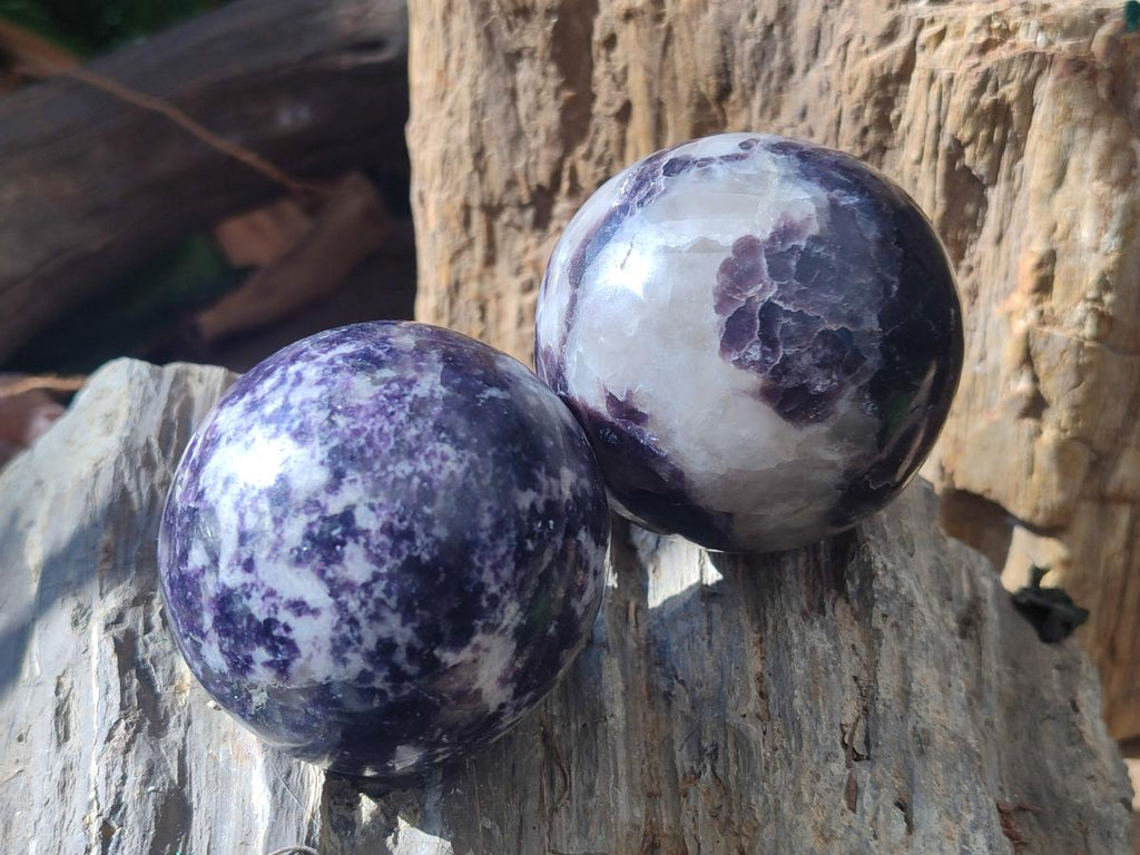 Polished Large Silver Leaf Lepidolite Spheres x 6 From Zimbabwe