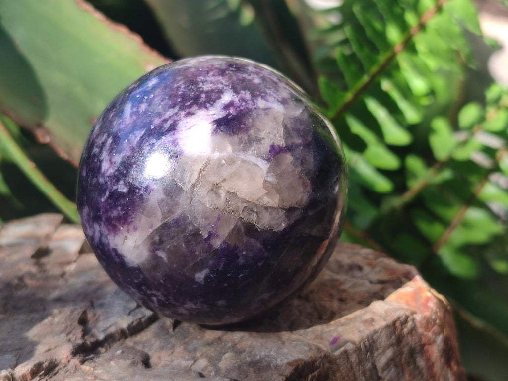 Polished Large Silver Leaf Lepidolite Spheres x 6 From Zimbabwe