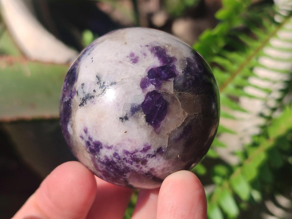 Polished Large Silver Leaf Lepidolite Spheres x 6 From Zimbabwe
