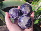 Polished Large Silver Leaf Lepidolite Spheres x 6 From Zimbabwe
