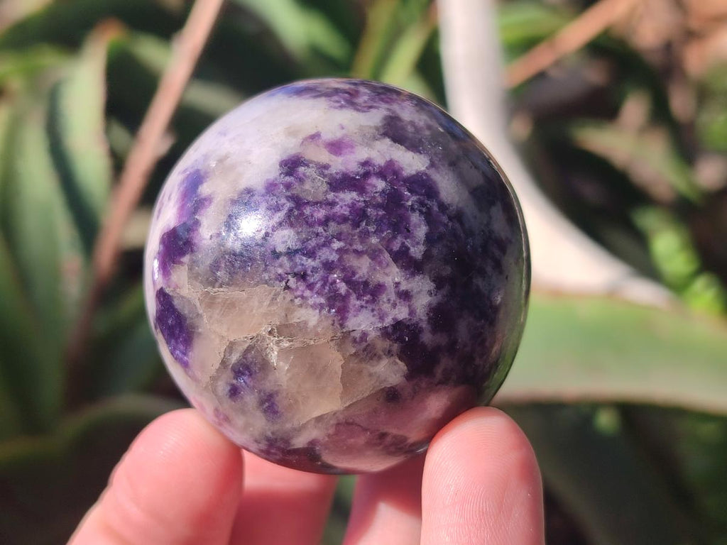 Polished Large Silver Leaf Lepidolite Spheres x 6 From Zimbabwe