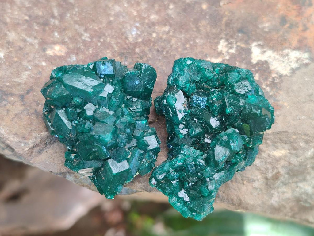 Natural Dioptase Specimens on Dolomite Matrix x 12 From Tantara Mine, Congo