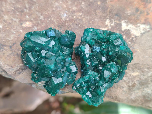 Natural Dioptase Specimens on Dolomite Matrix x 12 From Tantara Mine, Congo - Toprock Gemstones and Minerals 