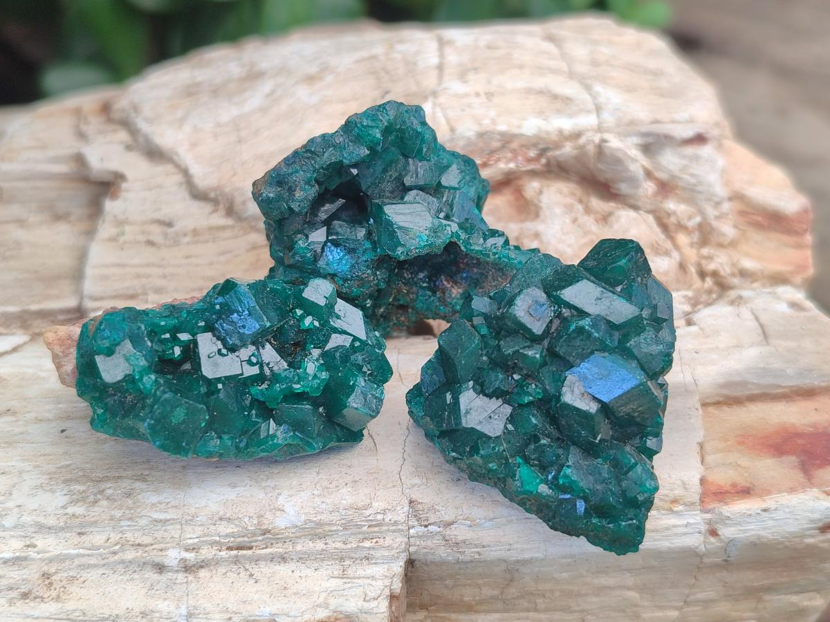 Natural Dioptase Specimens on Dolomite Matrix x 12 From Tantara Mine, Congo
