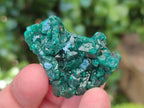 Natural Dioptase Specimens on Dolomite Matrix x 12 From Tantara Mine, Congo