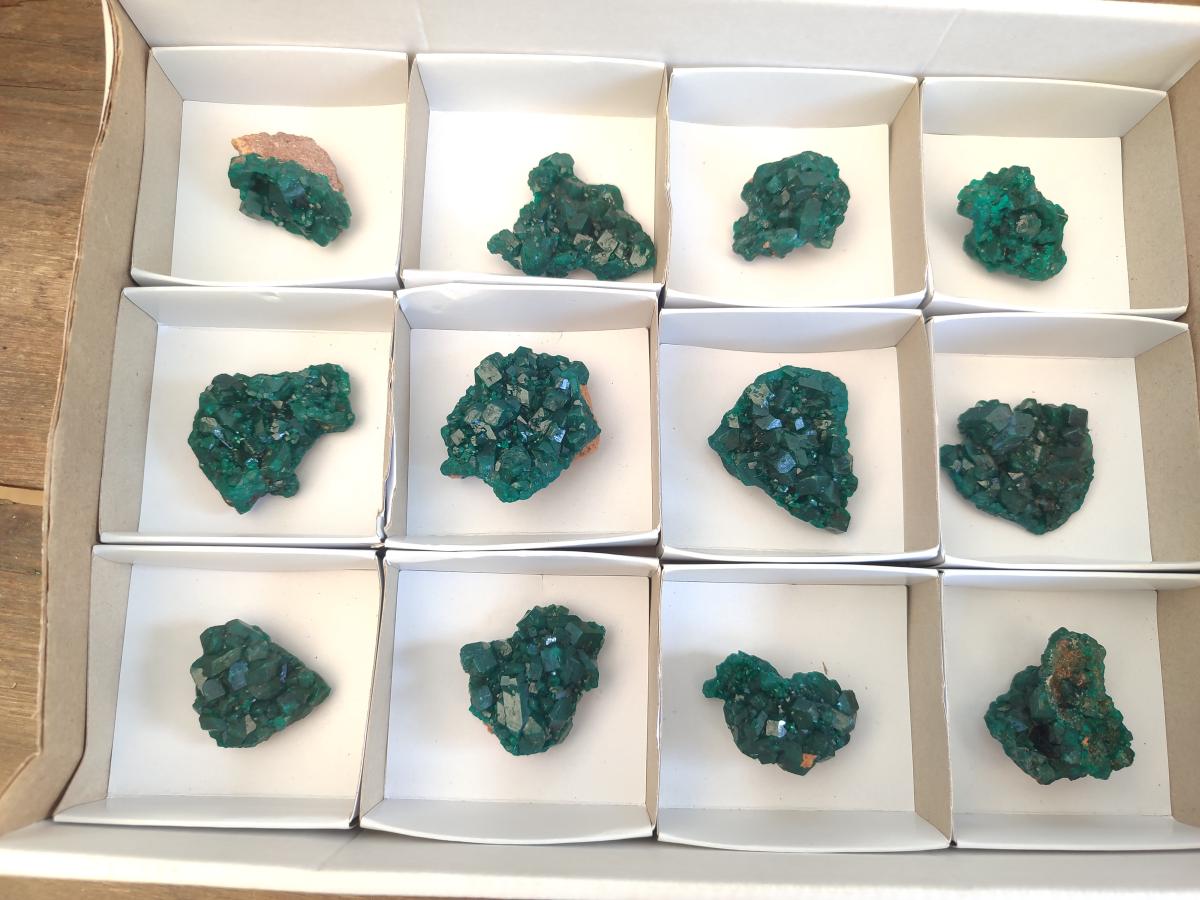 Natural Dioptase Specimens on Dolomite Matrix x 12 From Tantara Mine, Congo