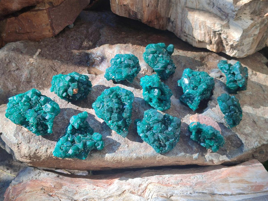 Natural Dioptase Specimens on Dolomite Matrix x 12 From Tantara Mine, Congo
