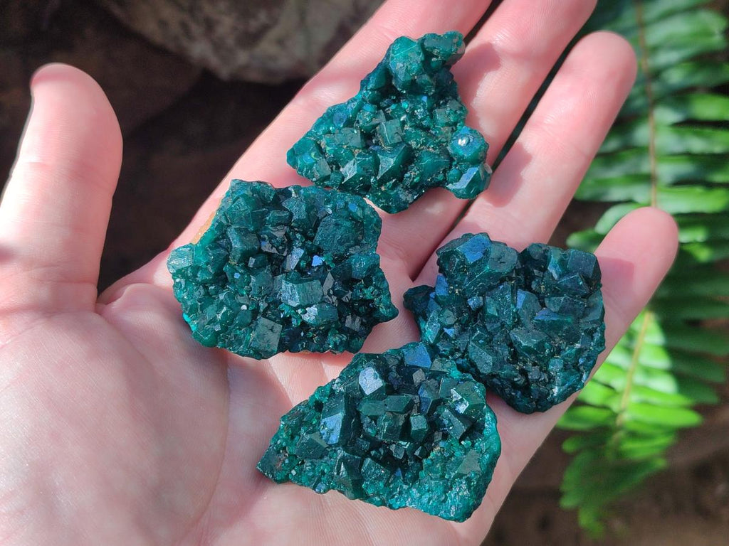 Natural Dioptase Specimens on Dolomite Matrix x 12 From Tantara Mine, Congo
