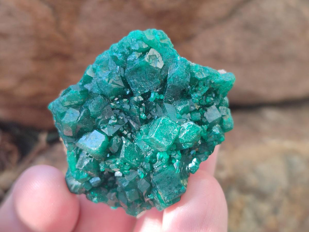 Natural Dioptase Specimens on Dolomite Matrix x 12 From Tantara Mine, Congo