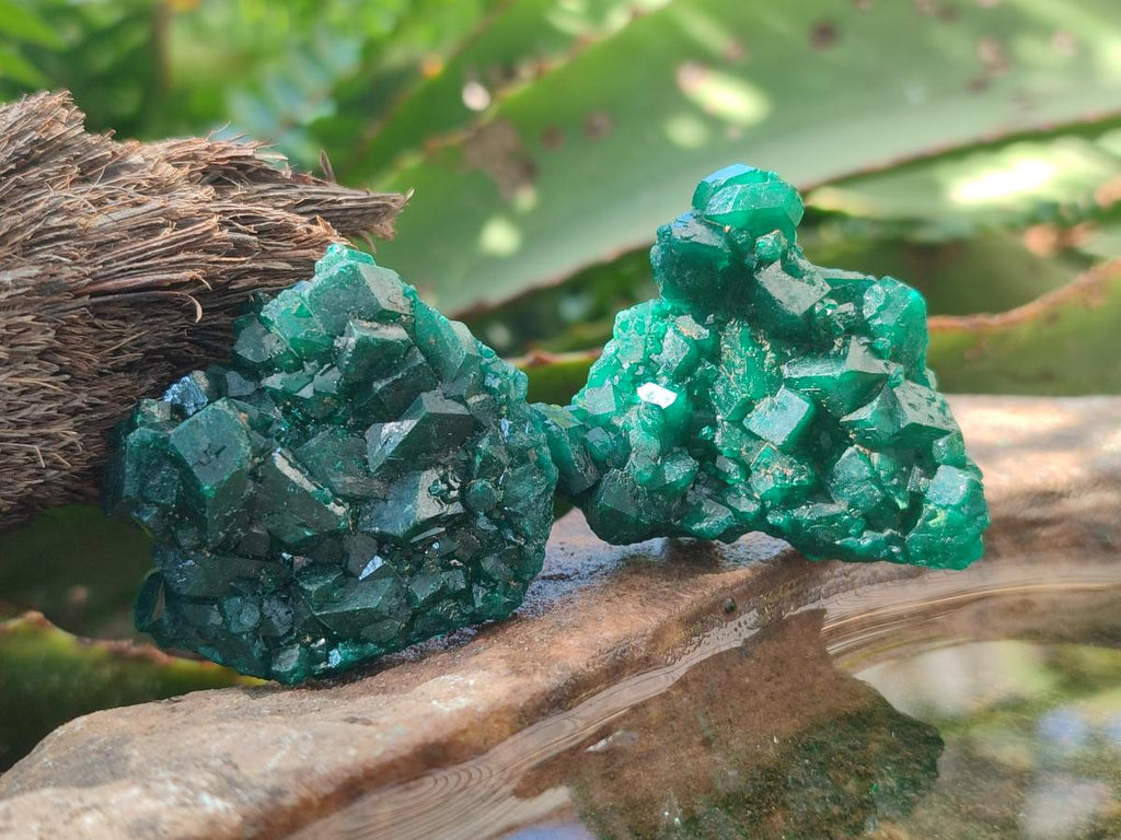 Natural Dioptase Specimens on Dolomite Matrix x 12 From Tantara Mine, Congo