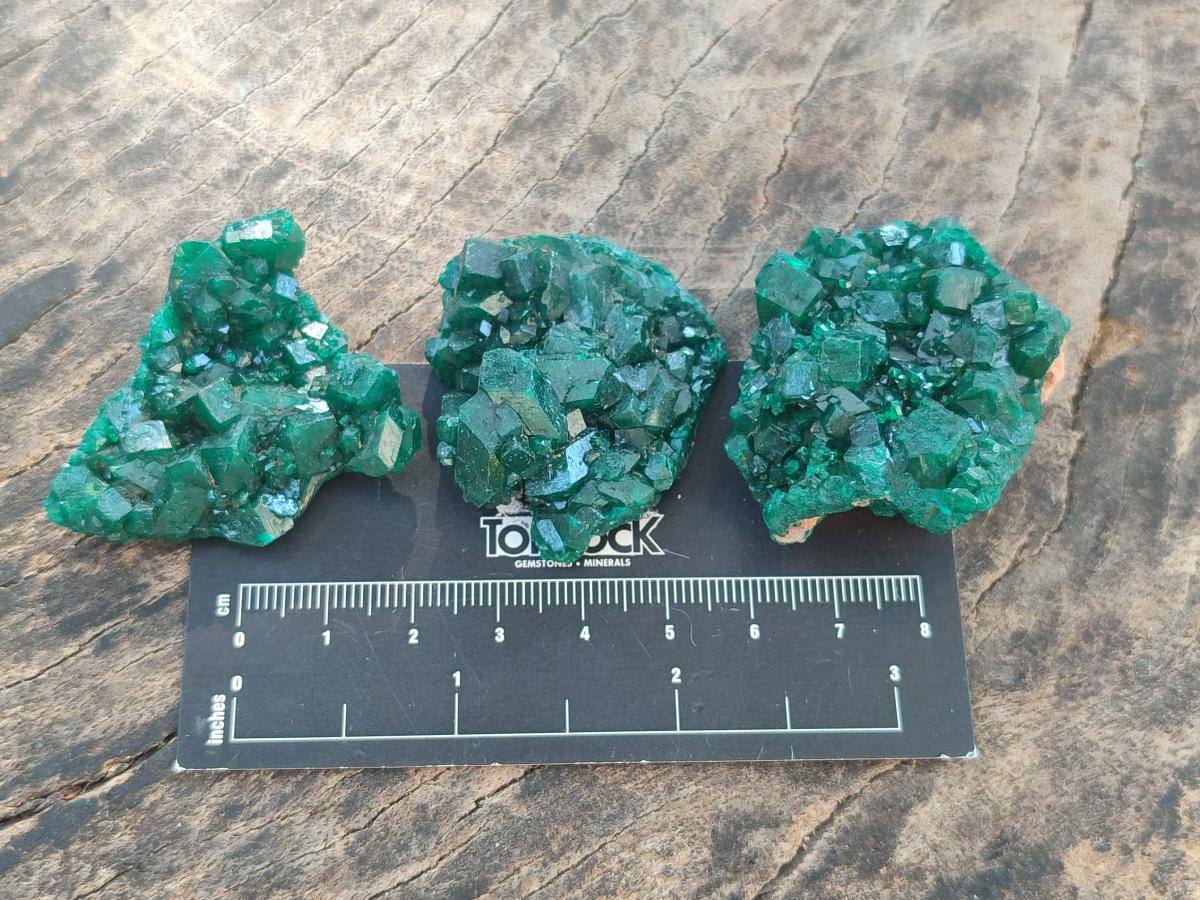 Natural Dioptase Specimens on Dolomite Matrix x 12 From Tantara Mine, Congo