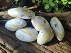 Polished and Natural Blue Lace Agate Free Forms x 6 From Nsanje, Malawi