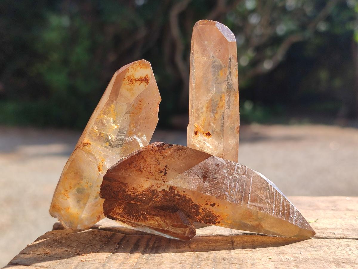 Natural Smokey Quartz Crystals x 18 From Zomba Plateau, Malawi