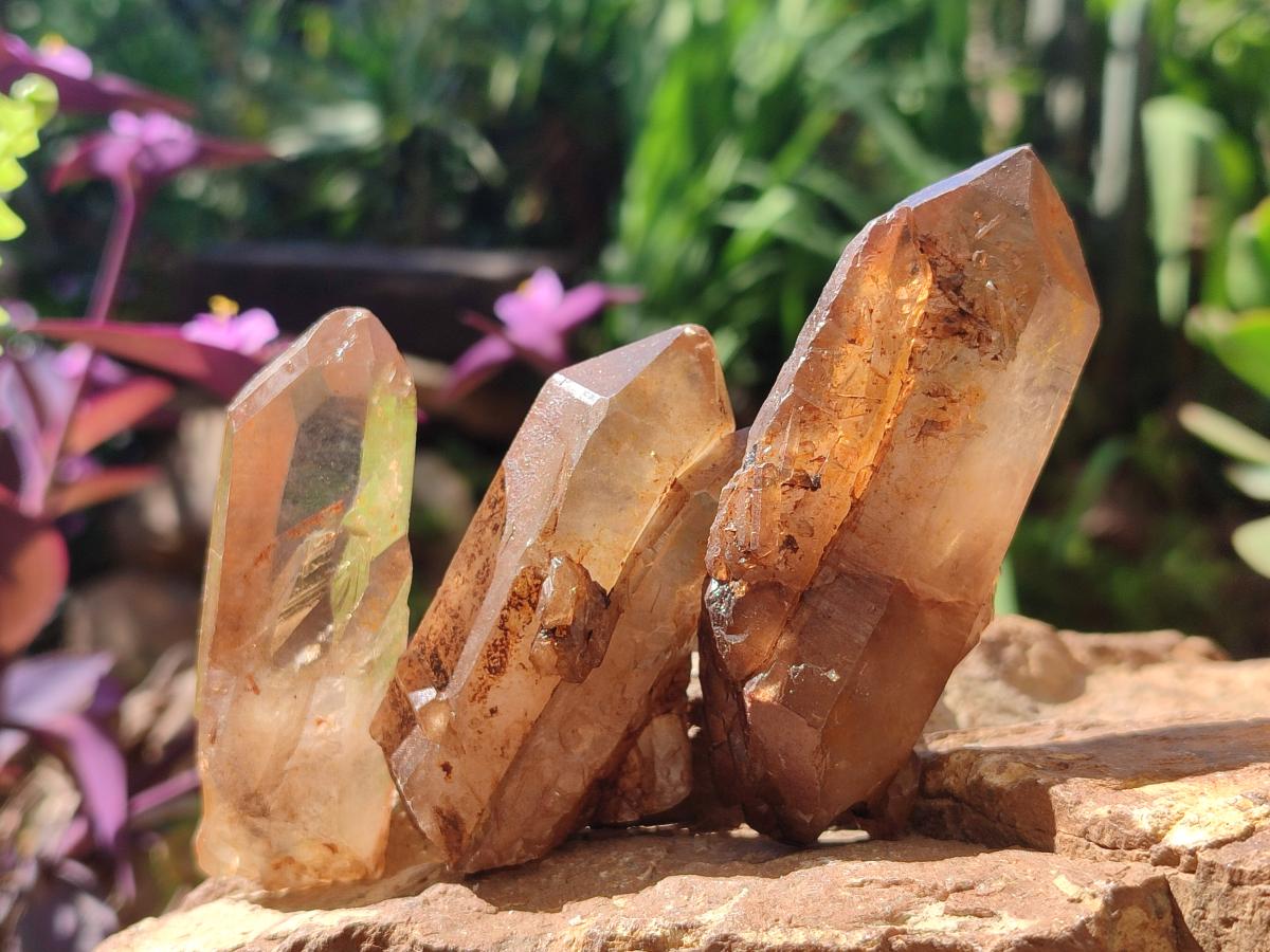 Natural Smokey Quartz Crystals x 18 From Zomba Plateau, Malawi