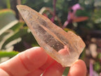 Natural Smokey Quartz Crystals x 18 From Zomba Plateau, Malawi