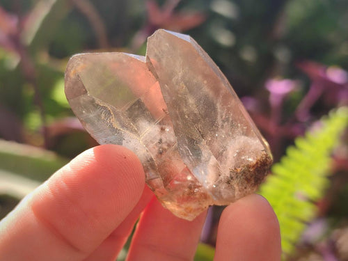 Natural Smokey Quartz Crystals x 18 From Zomba Plateau, Malawi - Toprock Gemstones and Minerals 