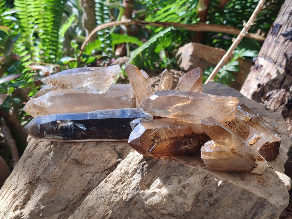 Natural Smokey Quartz Crystals x 18 From Zomba Plateau, Malawi