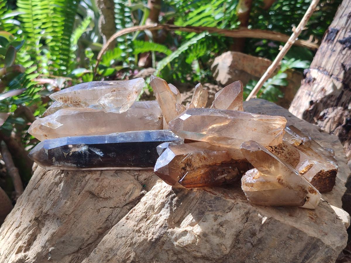 Natural Smokey Quartz Crystals x 18 From Zomba Plateau, Malawi