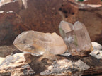 Natural Smokey Quartz Crystals x 18 From Zomba Plateau, Malawi