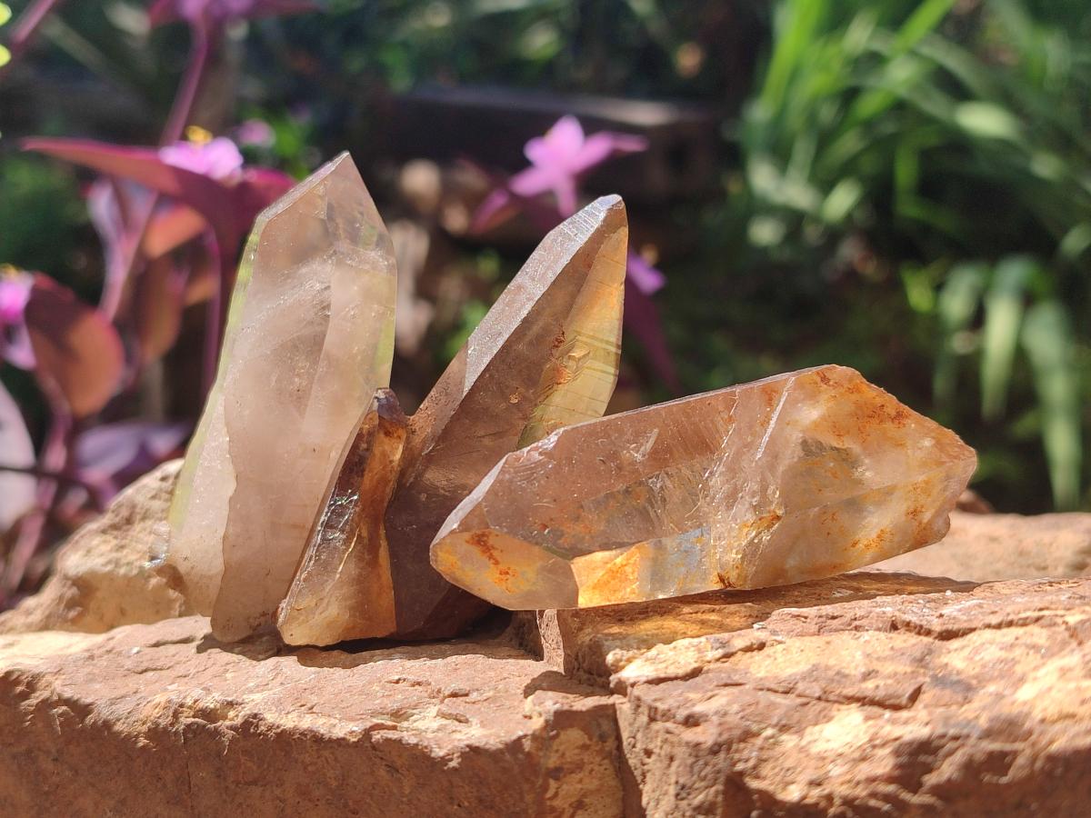 Natural Smokey Quartz Crystals x 18 From Zomba Plateau, Malawi