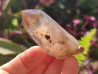 Natural Smokey Quartz Crystals x 18 From Zomba Plateau, Malawi