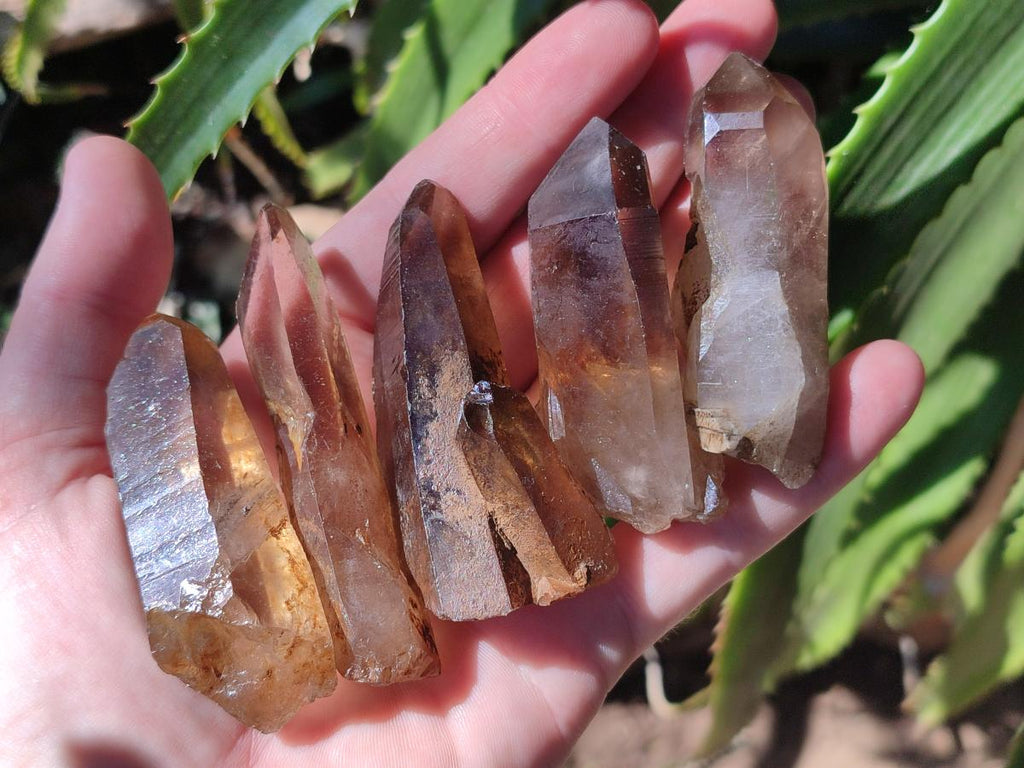 Natural Smokey Quartz Crystals x 18 From Zomba Plateau, Malawi