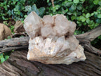 Natural Large Cascading White Phantom Smokey Luena Quartz Cluster x 1 From Luena, Congo