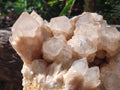 Natural Large Cascading White Phantom Smokey Luena Quartz Cluster x 1 From Luena, Congo