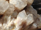 Natural Large Cascading White Phantom Smokey Luena Quartz Cluster x 1 From Luena, Congo